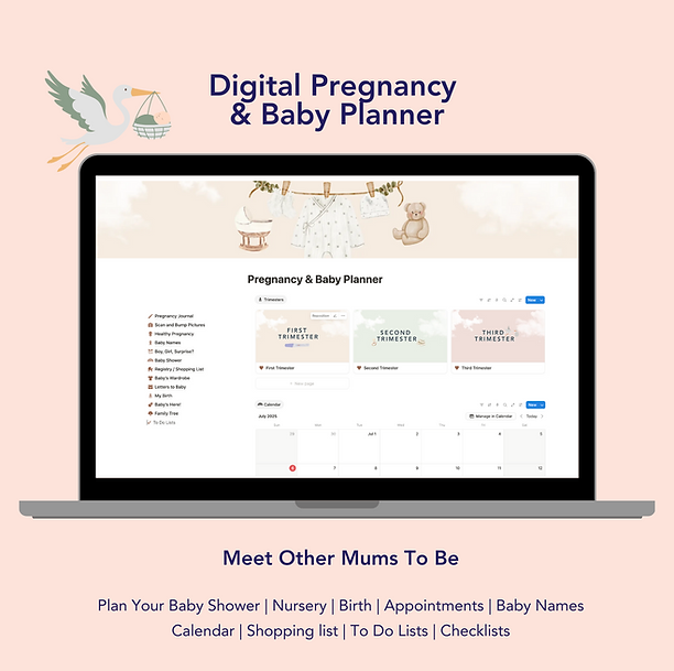 notion pregnancy and baby planner