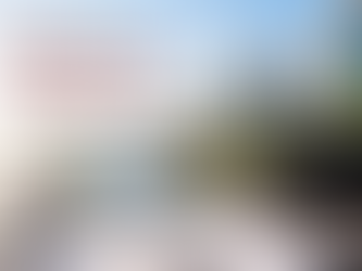 Florida Condo Association Electronic Voting: 2026 Guide
