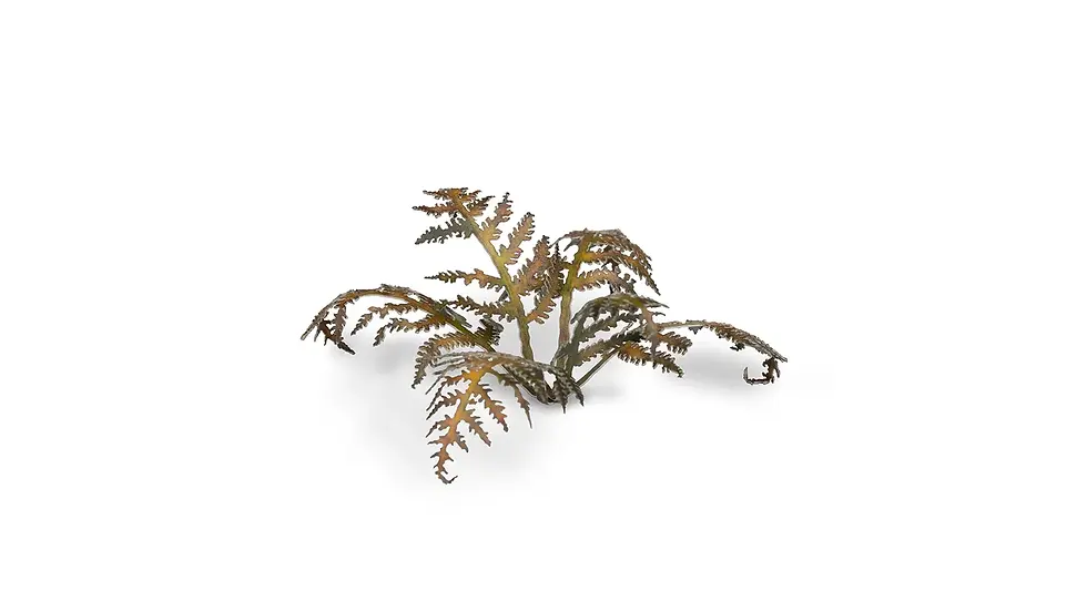 Thumbnail: GAMERS GRASS - DRY BRACKEN