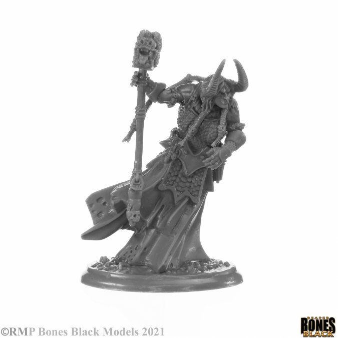 Thumbnail: Reaper 44147 - ELEMENTAL SCIONS BOXED SE