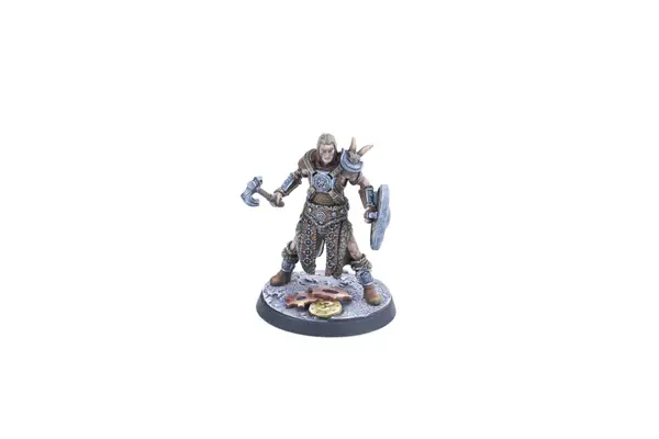 Miniature : The Elder Scrolls : Call to Arms - Adventurer Followers