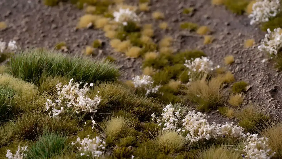 Miniature : GAMERS GRASS - WHITE FLOWERS