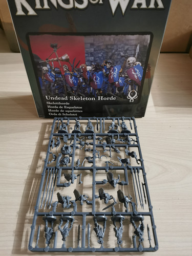 Warhammer Age of Sigmar x10 figurines Garde d'Ulfenkarn, guerriers squelettes Warhammer Age of Sigmar x10 figurines Garde d'Ulfenkarn, guerriers squelettes
