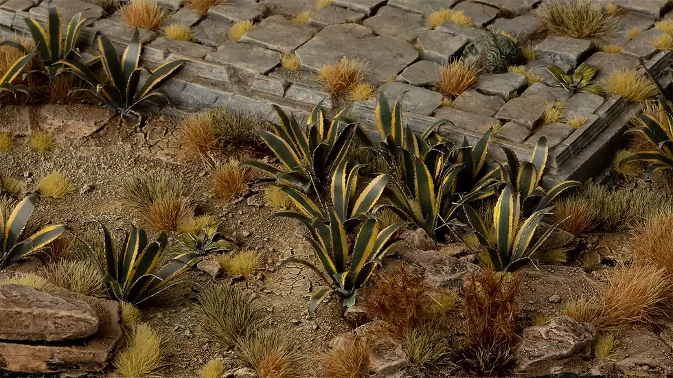 Thumbnail: GAMERS GRASS - AGAVE