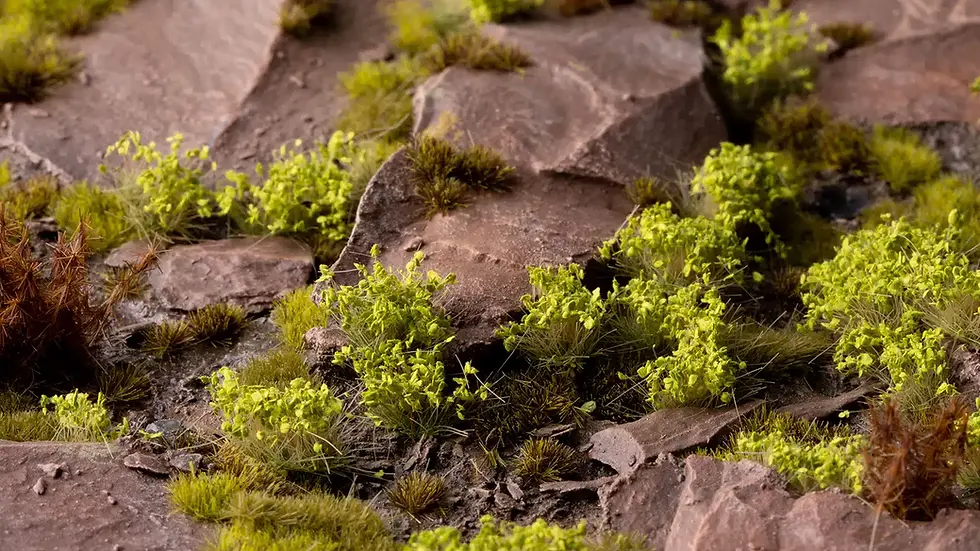 Thumbnail: GAMERS GRASS - GREEN SHRUB