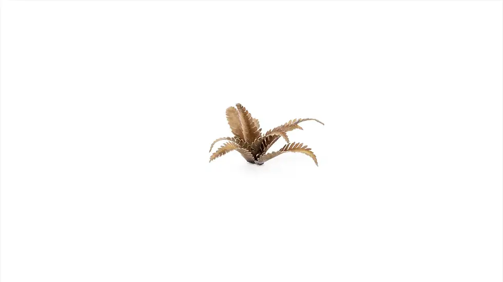 Thumbnail: GAMERS GRASS - DEER FERN