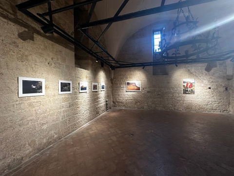 exhibition room with brick walls and iron chandelier in medieval style with artworks by Telma Har on the wall.