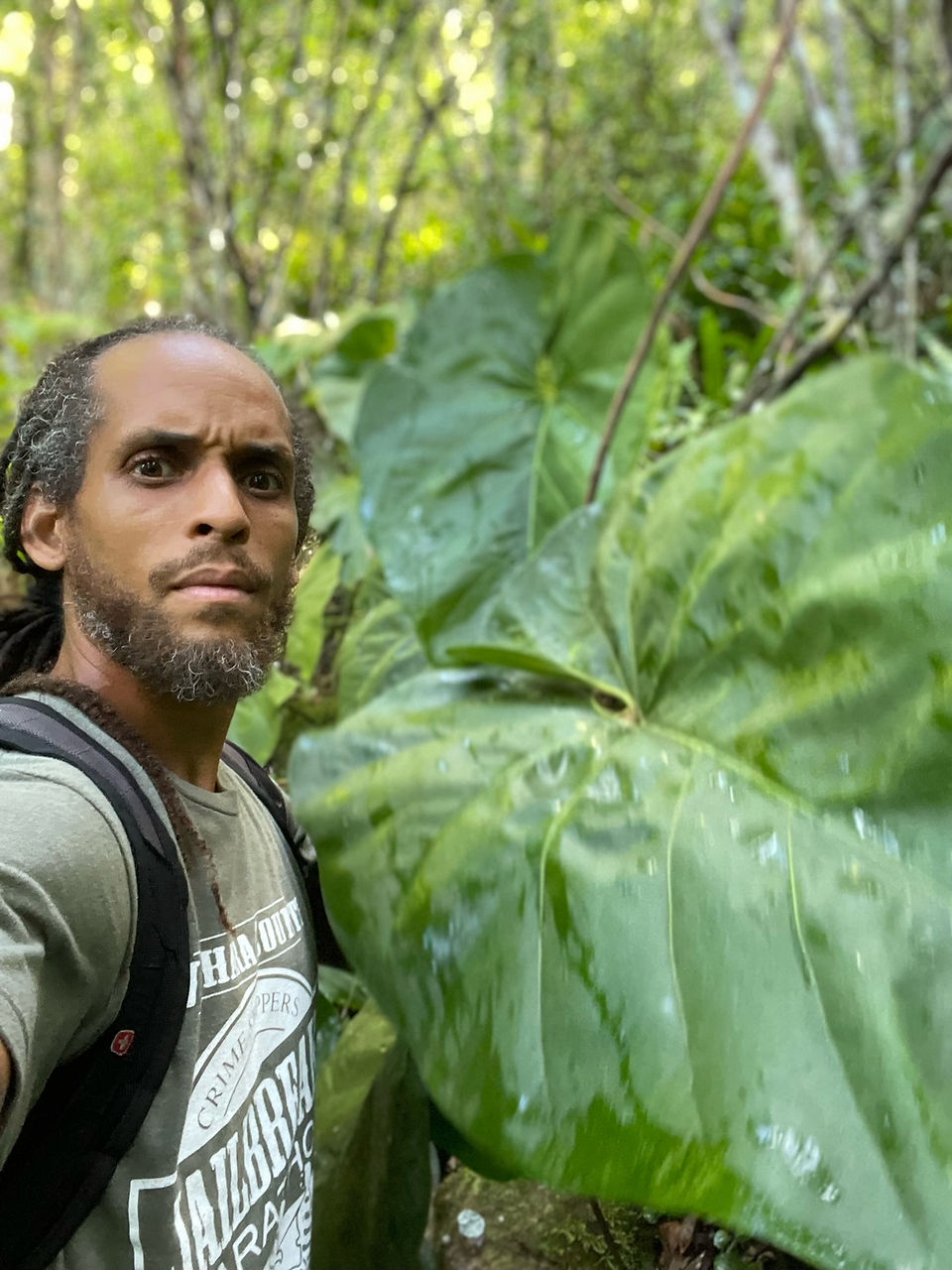 A man holding a giant leave.