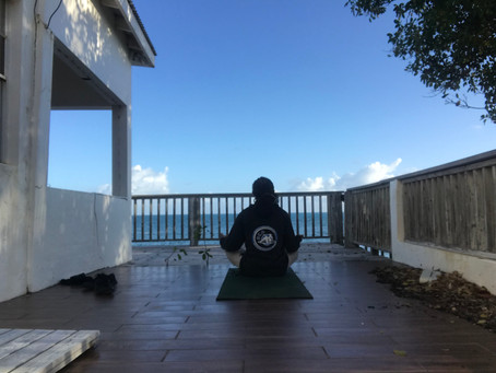 Capoeira and Everything Else in Silence