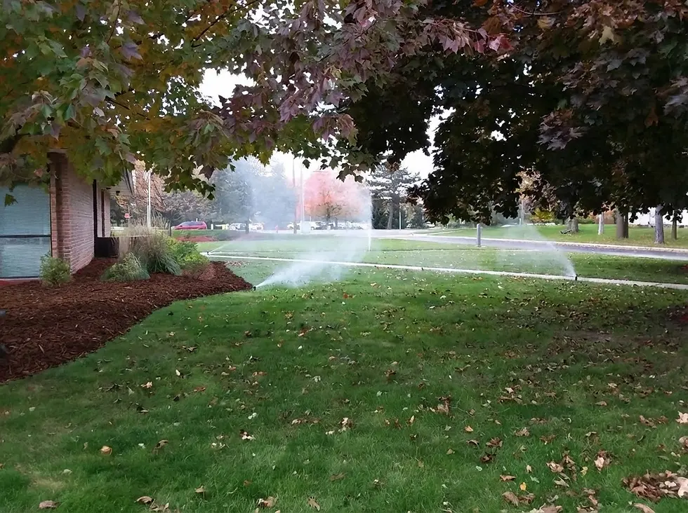 Irrigation Blow Out