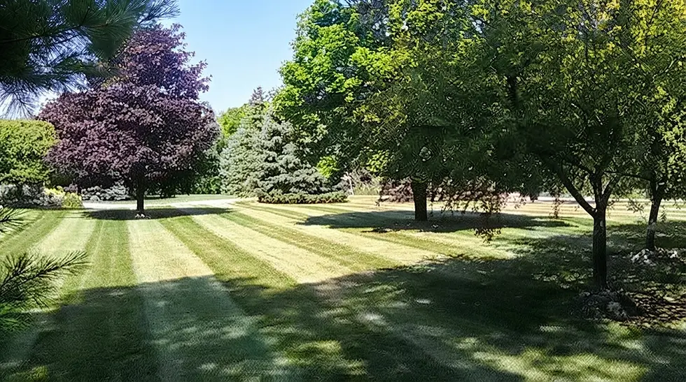 Lawn Mowing and Trimming