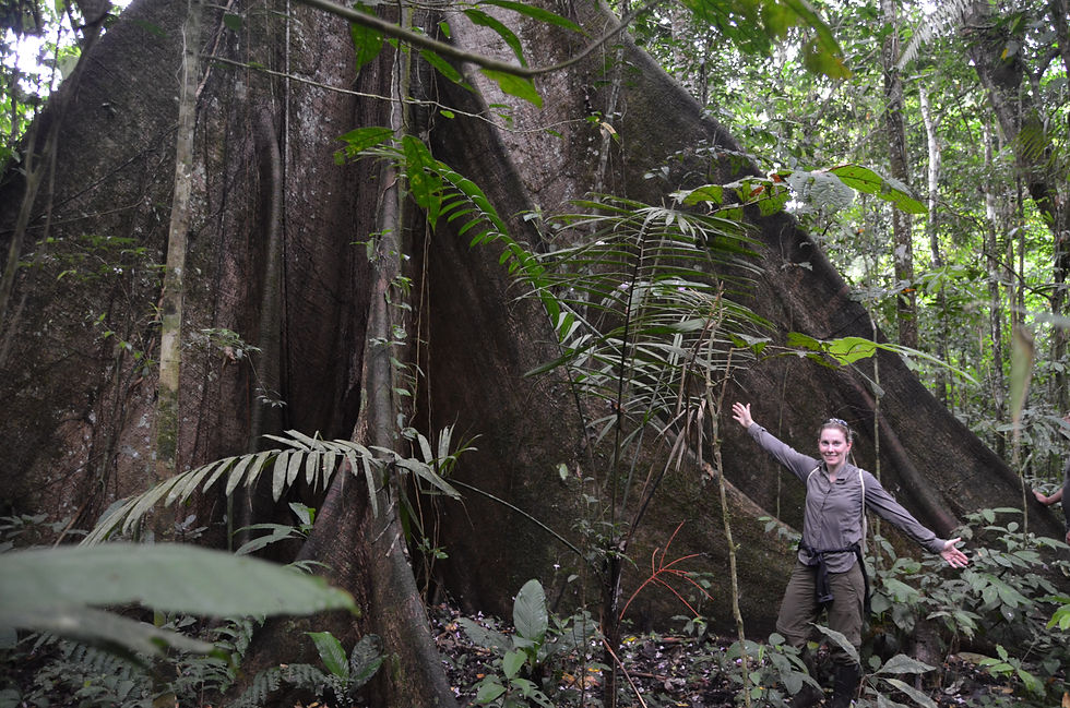 The author standing in the rainforest with her hands spread out gesturing 'big'