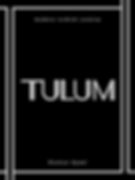 book cover of Tulum