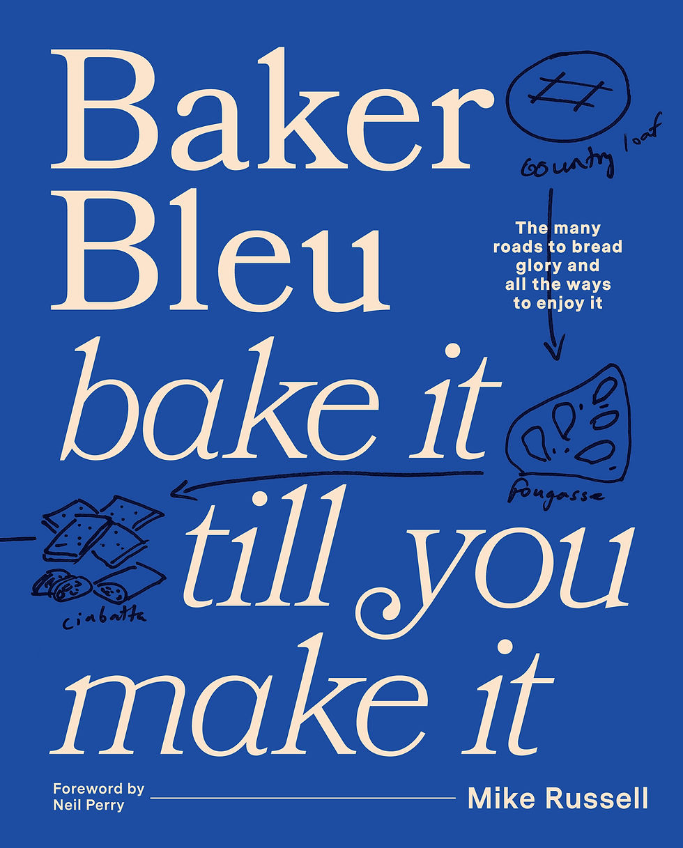 book cover of Baker Bleu