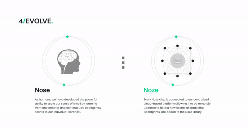 olga-pope-copywriter-noze-website-evolve.gif