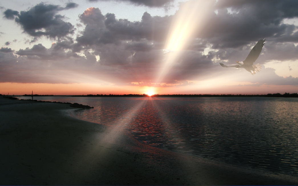 Sunset-Eagle