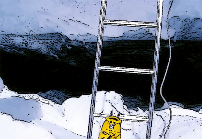 ladder