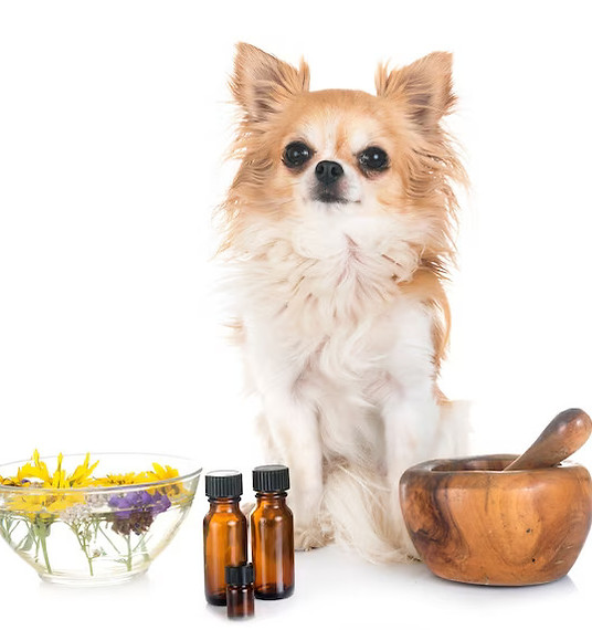 dog-essential-oils_87557-2001.jpg