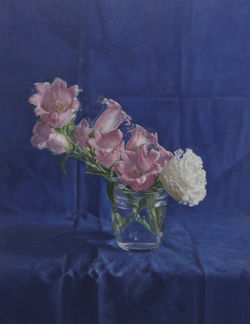 carnation & campanula