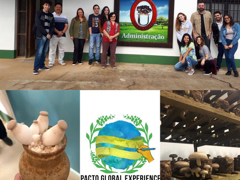 Visita à empresa de produção de Cogumelos em Mogi Das Cruzes- 29/05/2019