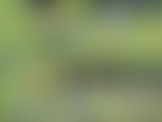 6/23 リーグ戦結果