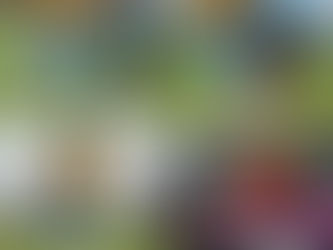 9/1 U12スポーツ少年大会