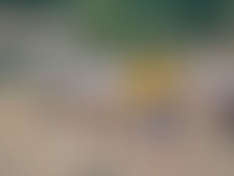 藤枝遠征　Ｕ－１１