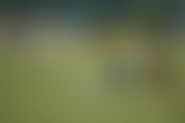 ◎Ｕ－１１　７月２日　四種リーグ