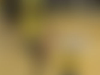 福井市スポーツ少年団結団式　5月12日