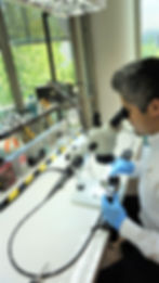 Delineado de lentes con microscopio