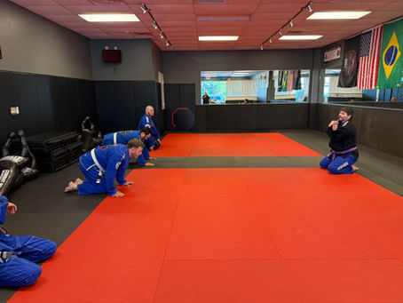 Adult Jiu-Jitsu Beginners: