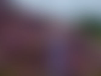 Sophie Richards in the mountains