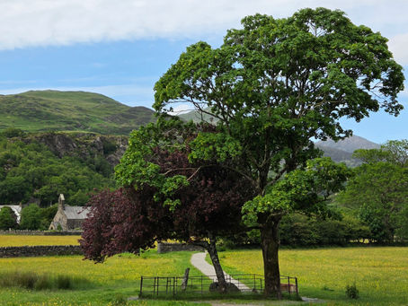 Gelert's Grave is a short stroll from Glaslyn in Beddgelert.