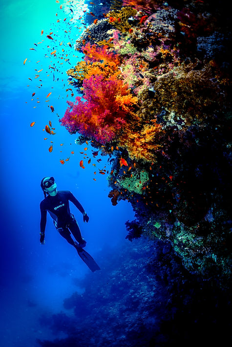 Dive Image 4.jpg