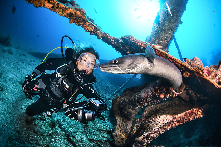 Presentation-Dive Image 20.jpg