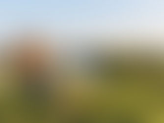 Urlaub mit Hund an der Elbe – Tiny House Idylle in Elborado nahe Hamburg