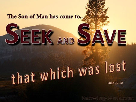 Our Perfect Savior