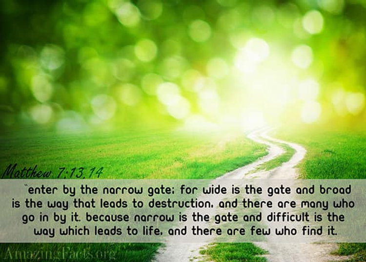 Pathless Taken The Path Less-Traveled