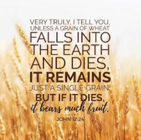 Unless A Grain Of Wheat Falls