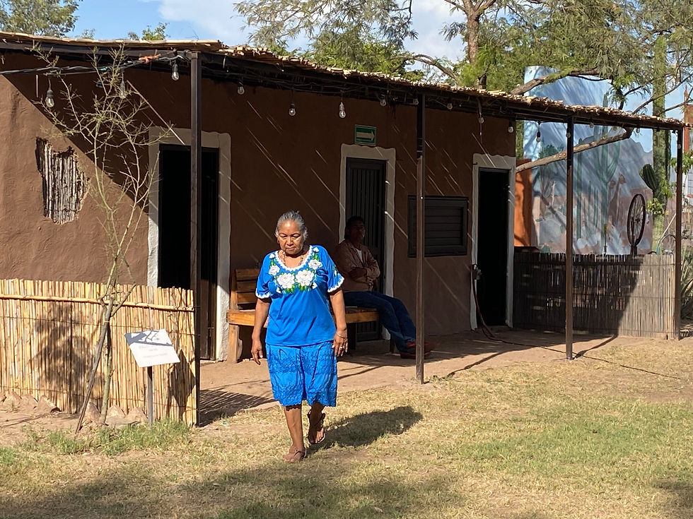 Gabriela Álvarez, curandera yaqui