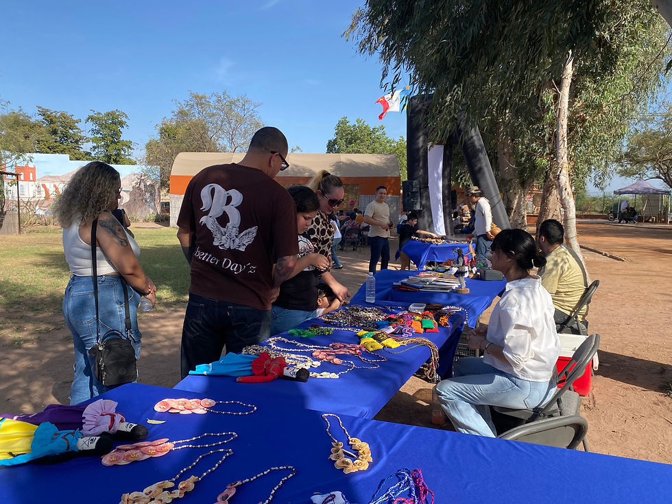 artesanía de Punta Chueca comunidad comcáac (o seri)