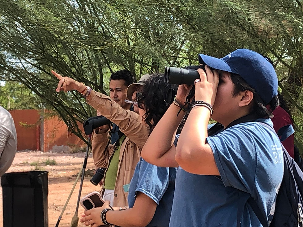 Realizan la segunda parte del taller "Conociendo a nuestras aves por su voz" con la participación de jóvenes estudiantes de Biología y comunidad interesada en saber más de los pájaros de la región