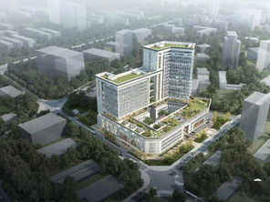 佛山市禅城区人民医院总院