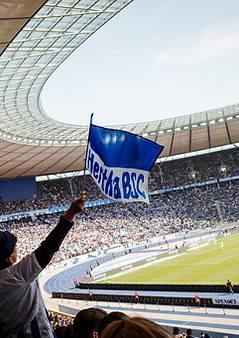 Hertha Berlin.jpg