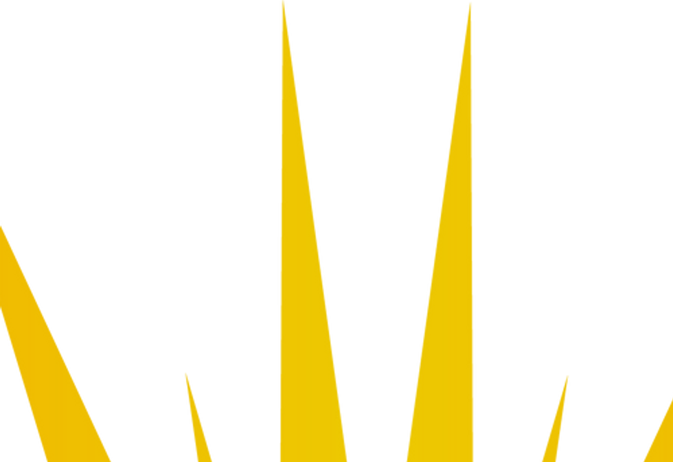 Sunshine Pressure Washing-png.png