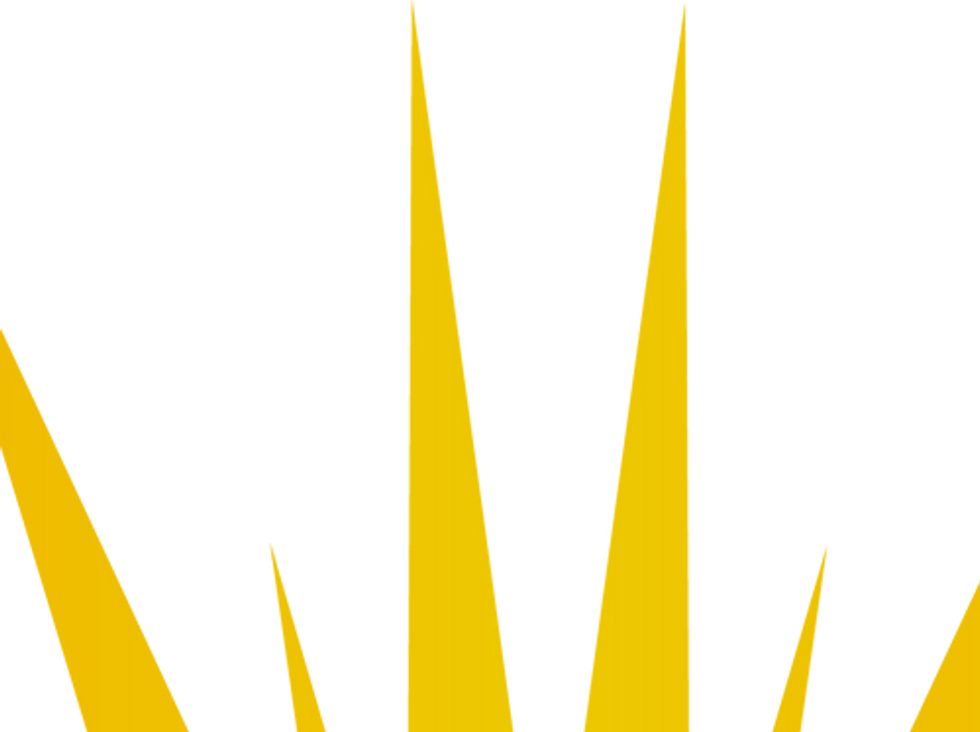 Sunshine Pressure Washing-png.png