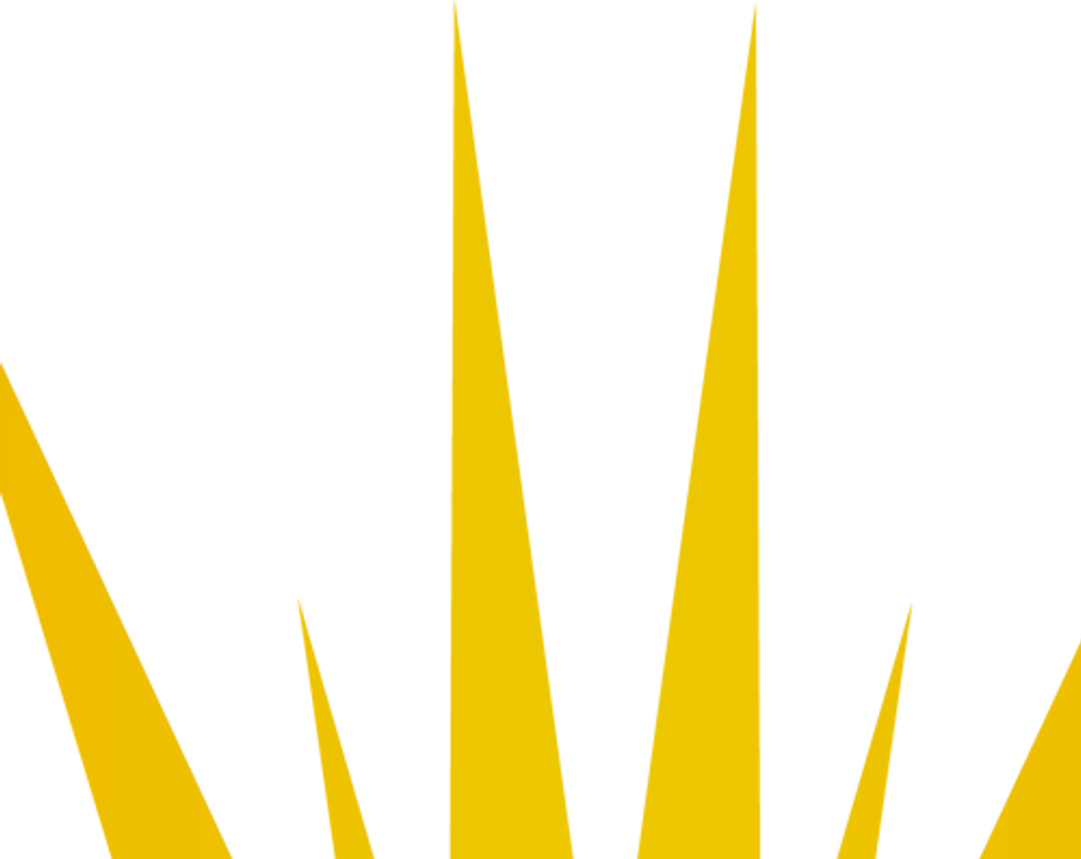 Sunshine Pressure Washing-png.png