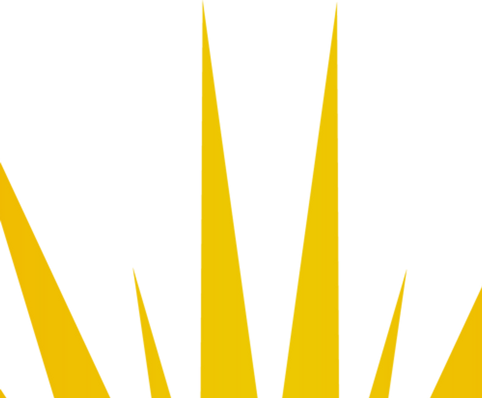 Sunshine Pressure Washing-png.png