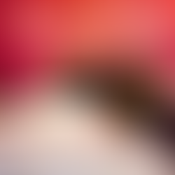 Anne-Marie & Little Mix on 'Kiss My (Uh Oh)' Music Video