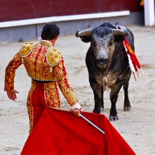 The Bulls & The Three Red Flags